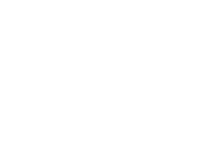 Holding Logo